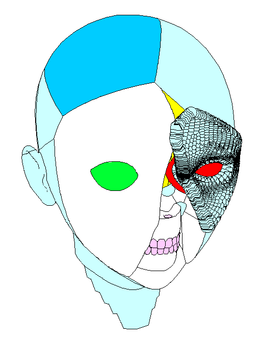 Fractal, fracture, pattern